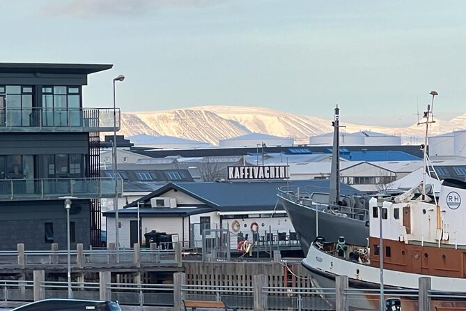 Reykjavik Food Tour - Old Harbor Walking Tour - Why the small group changes the experience