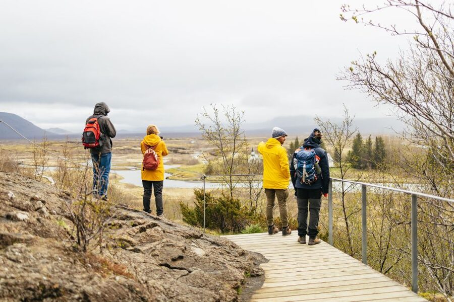 Reykjavik: Golden Circle, Crater & Blue Lagoon Minibus Tour - Food, weather, and what to pack
