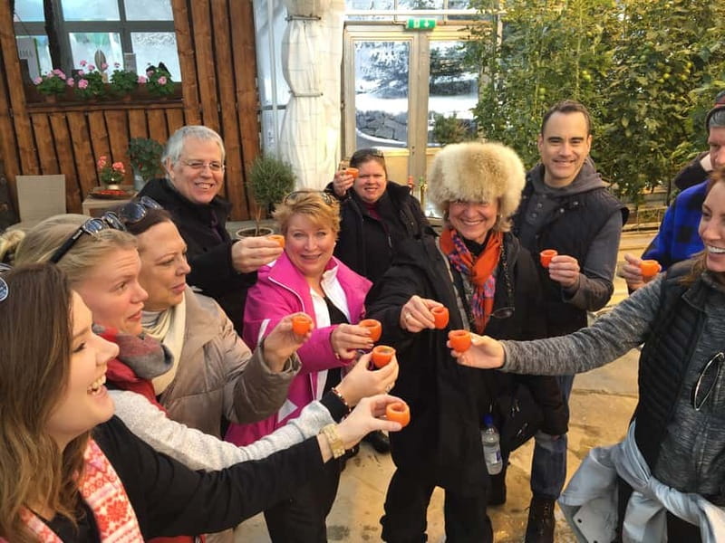 Reykjavik: Golden Circle, Fridheimar, & Sky Lagoon Day Trip - Why this Golden Circle day works
