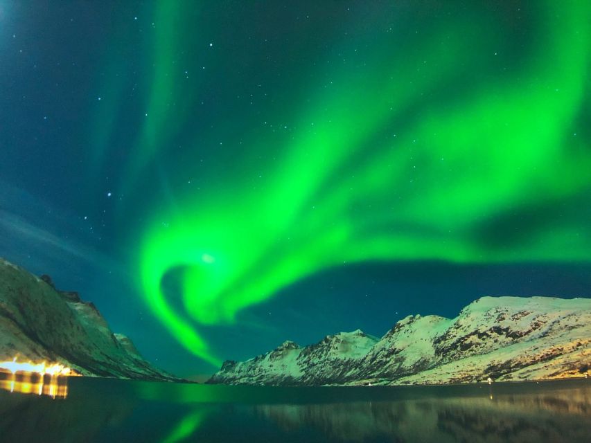 Reykjavík: Golden Circle Tour & Perlan Museum Tour - Key points to know before you book