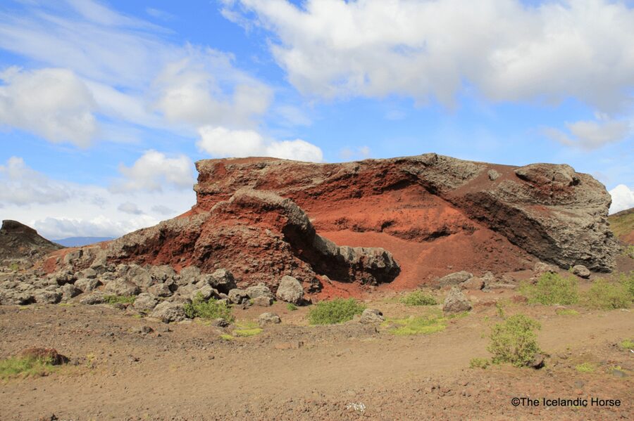 Reykjavík: Horse Riding Tours - Choosing the right Icelandic horse