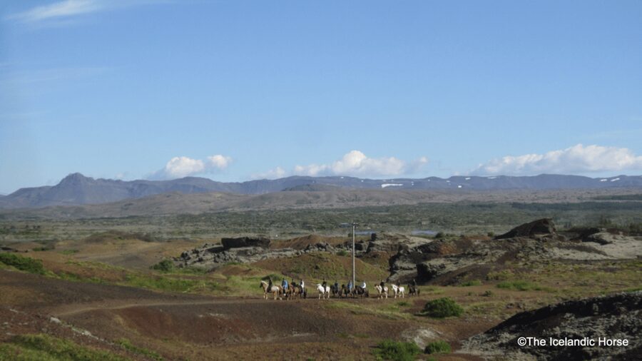 Reykjavík: Horse Riding Tours - Guides who teach instead of simply leading