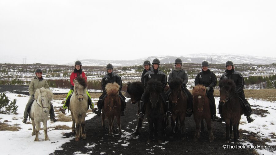 Reykjavík: Horse Riding Tours - Weather, clothing, and the practical tradeoffs