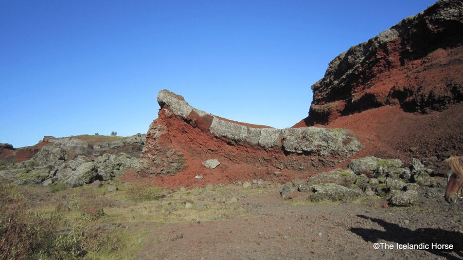 Reykjavík: Horse Riding Tours - The first 10 minutes: arriving at the stables