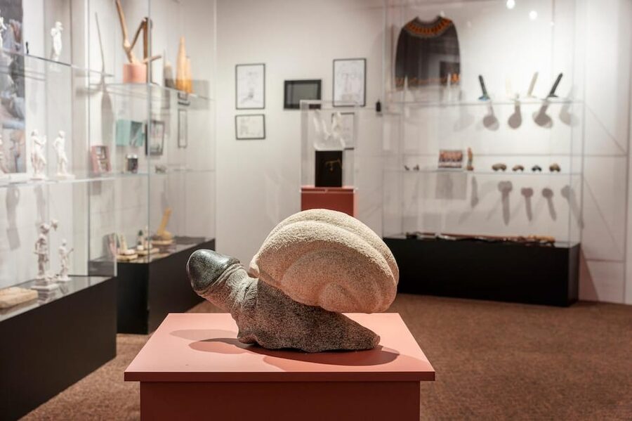 Reykjavik: Icelandic Phallological Museum Entry Ticket - The museum’s humor and educational side