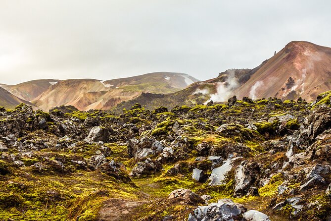 Reykjavík: Landmannalaugar & Icelandic Highlands Super Jeep Tour - Pickup, timing, and the small practical catches