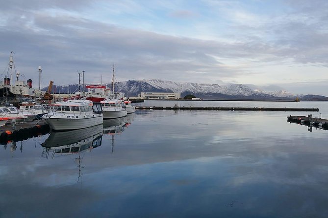 Reykjavik Main Sights and Hidden Spots: A Self-Guided Audio Walk - Starting beneath Hallgrímskirkja
