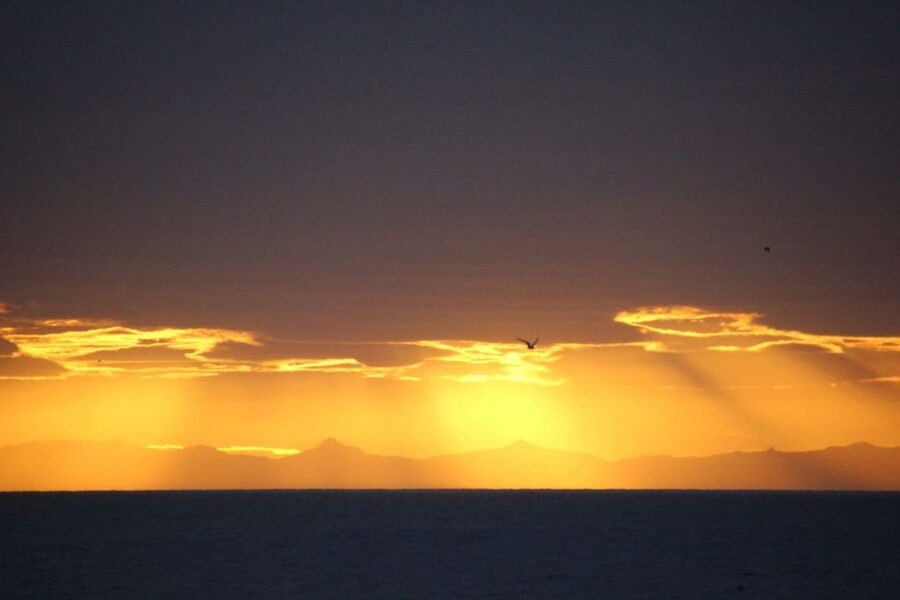 Reykjavík: Midnight Sun Whale Watching Cruise - Two and a half hours of searching Faxaflói Bay