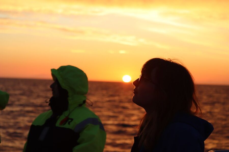 Reykjavík: Midnight Sun Whale Watching Cruise - What the $106 price really buys you