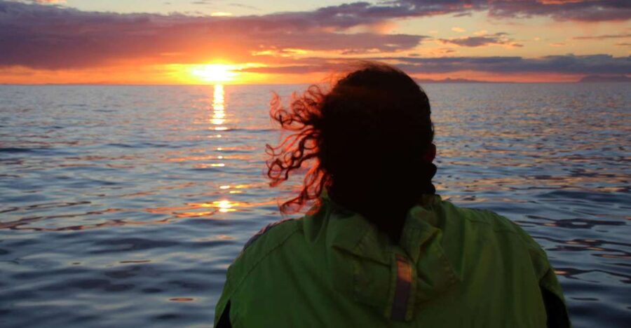 Reykjavík: Midnight Sun Whale Watching Cruise - Why the midnight sun changes the cruise