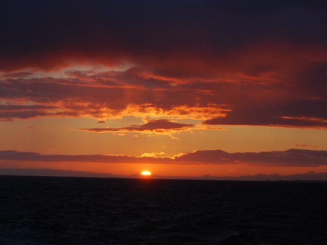 Reykjavik: Midnight Sun Whale Watching Tour - Sea conditions, comfort, and seasickness