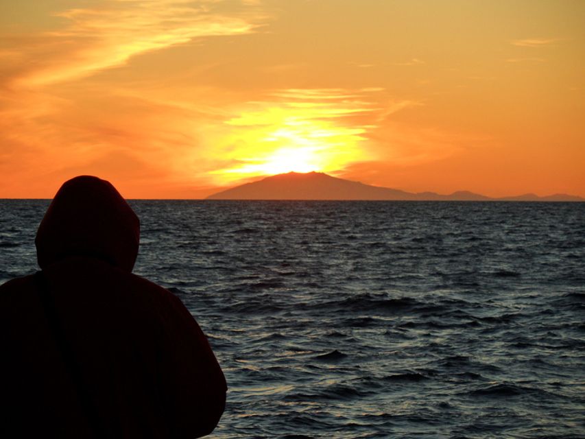 Reykjavik: Midnight Sun Whale Watching Tour - The search for whales, dolphins, and porpoises
