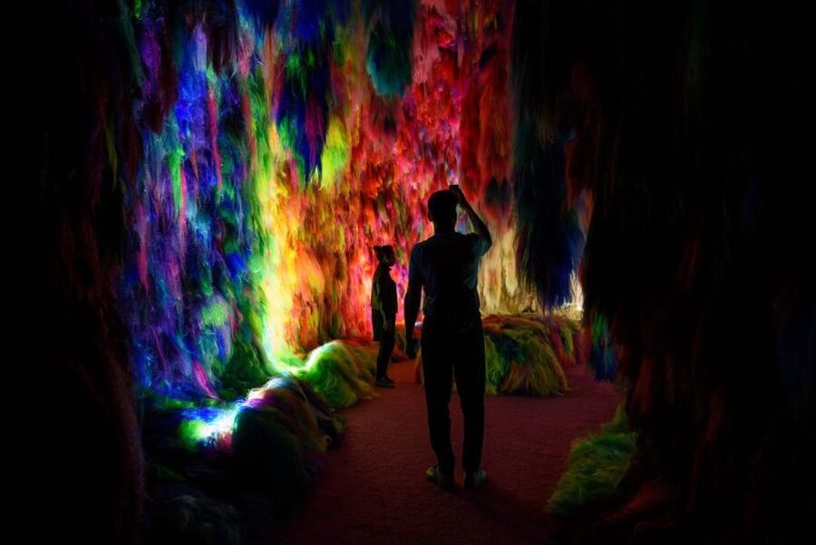 Reykjavík: Multi-Sensory Art Installation Chromo Sapiens - How to get more from the visit