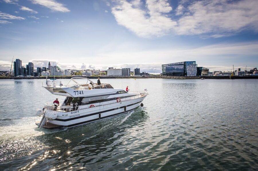 Reykjavík: New Year's Eve Northern Lights Yacht Cruise - Key points to know