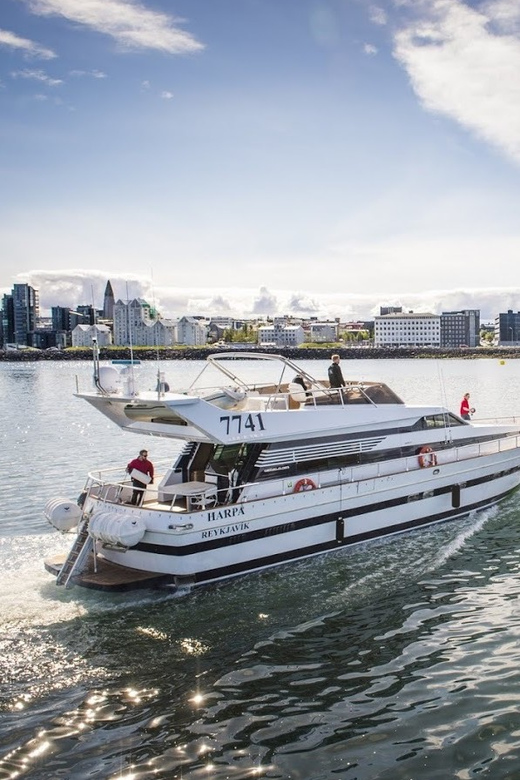Reykjavík: New Year's Eve Northern Lights Yacht Cruise - Champagne, midnight, and the yacht setting