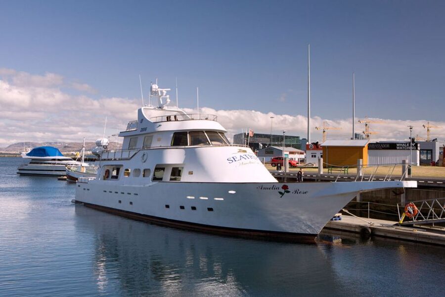 Reykjavik: New Years Fireworks Midnight Cruise - What the $170 price really covers