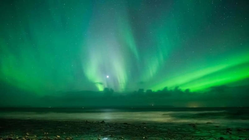 Reykjavik: Northern Lights Adventure Tour with Hot Chocolate - The first viewing stop and the value of patience