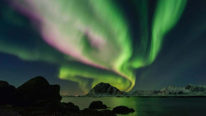 Reykjavik: Northern Lights Adventure Tour with Hot Chocolate - Timing, cold, and the three-and-a-half-hour schedule