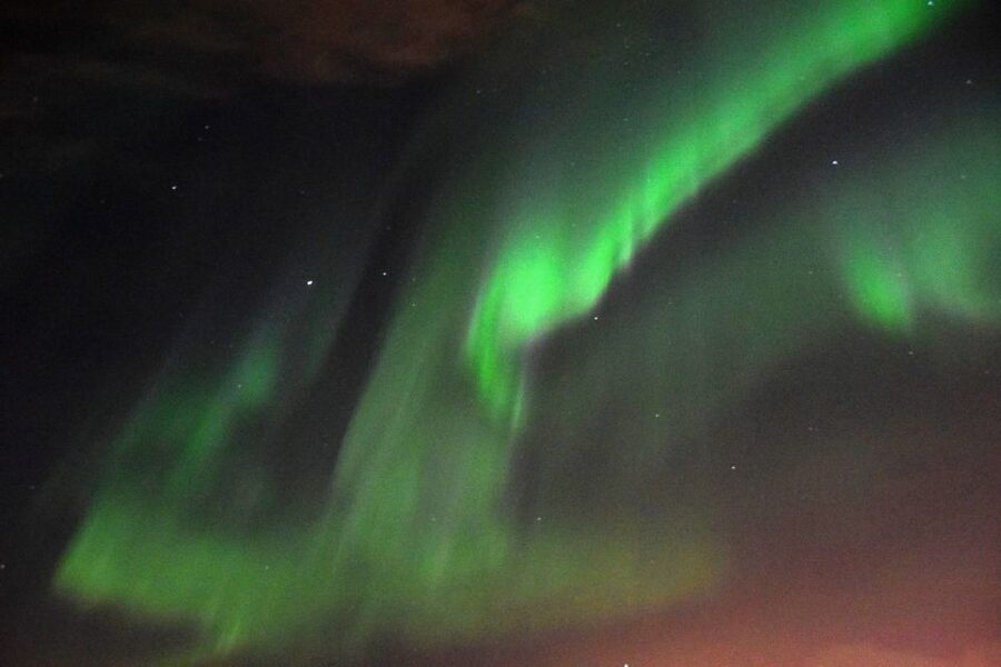 Reykjavik: Northern Lights Guided Boat Tour - Who should book this northern lights cruise?