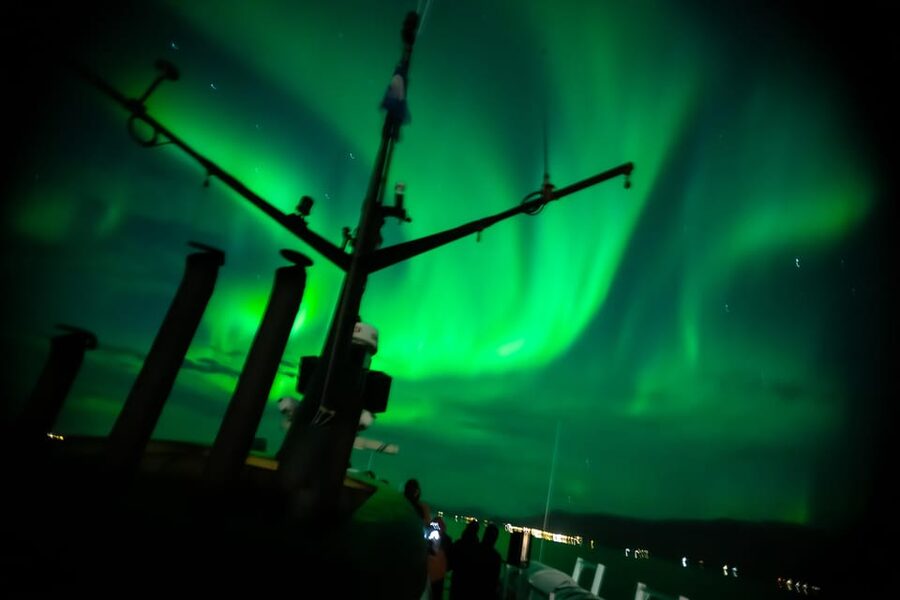 Reykjavik: Northern Lights Guided Boat Tour with Photos - Weather, sea conditions, and the best type of booking