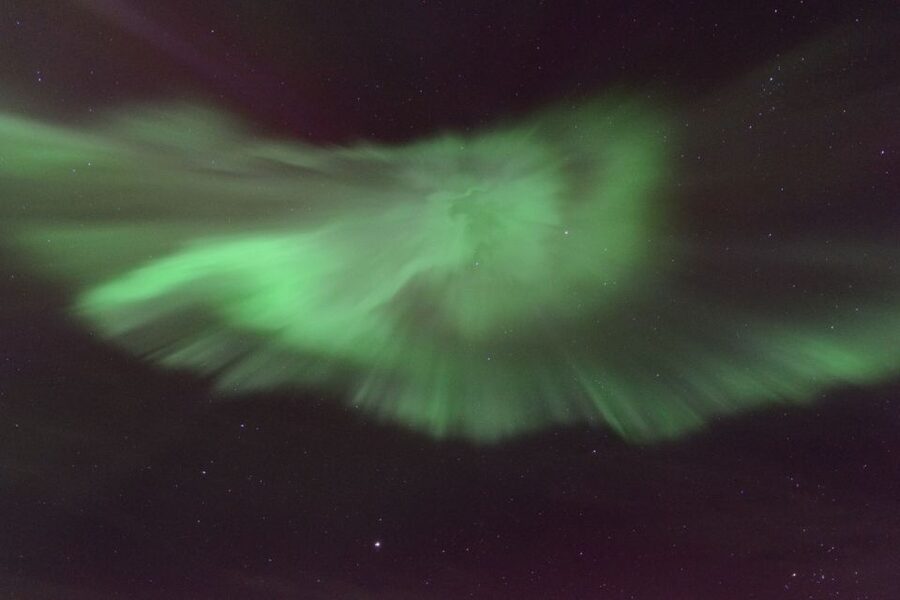 Reykjavik: Northern Lights Motor Yacht Cruise - The crew and the quality of the commentary