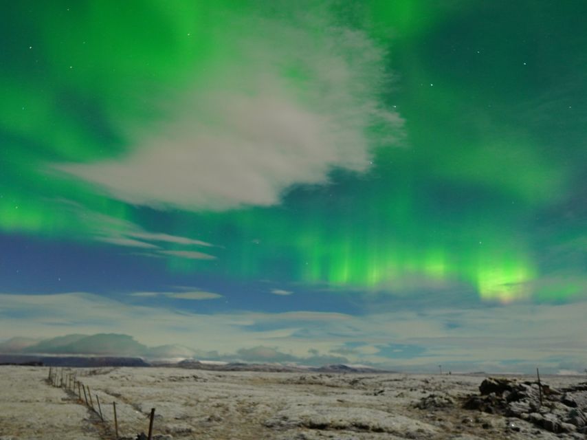 Reykjavik: Northern Lights Tour w/Pro Photos - Small Group - Who should book this Northern Lights tour?