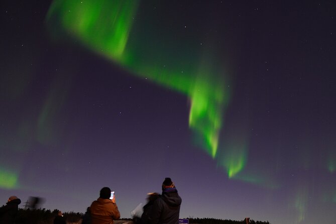 Reykjavik Northern Lights Tour with Pro Aurora Photos Small Group - Cold-weather planning is essential