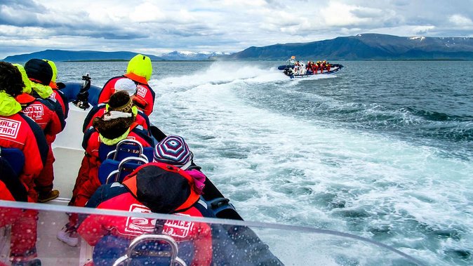 Reykjavik Premium Puffin tour | Close Up and Personal - The guiding makes the short trip worthwhile
