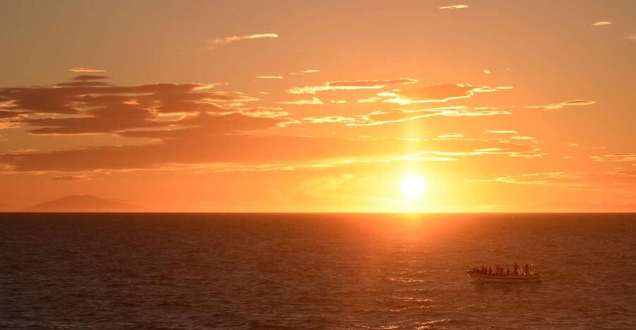 Reykjavik: Premium Whale and Puffin Watching Evening Tour - Puffin islands and the summer cutoff
