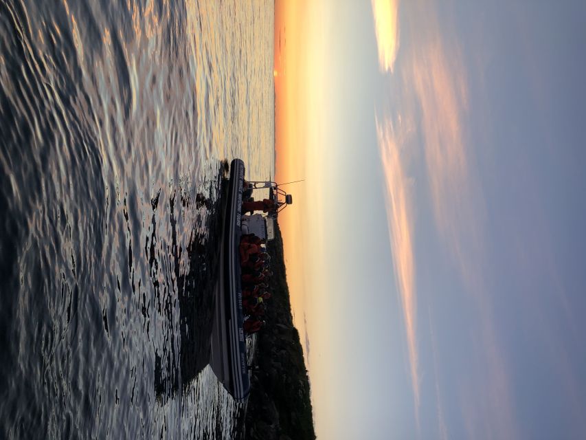 Reykjavik: Premium Whale and Puffin Watching Evening Tour - Practical booking advice for your Reykjavík schedule