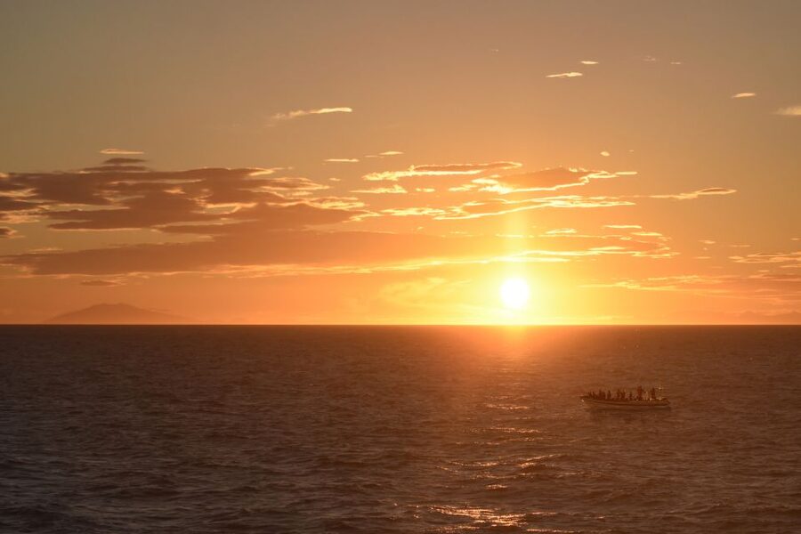 Reykjavik: Premium Whale and Puffin Watching Evening Tour - The fast run across Faxaflói Bay
