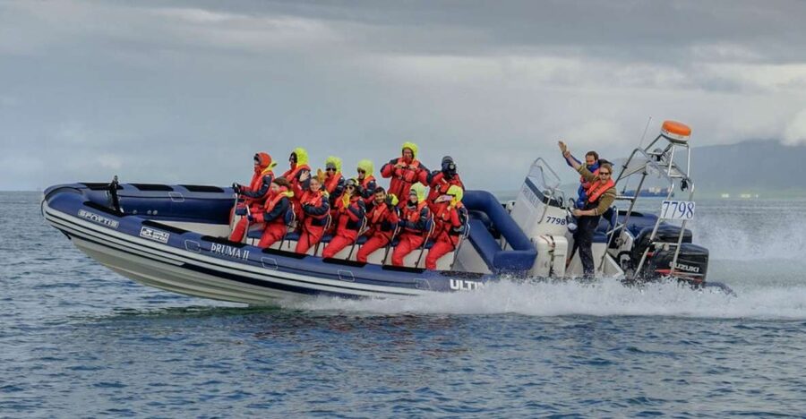 Reykjavik: Premium Whale Watching with Flexible Ticket - Leaving Reykjavik Old Harbour in a RIB boat
