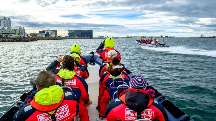 Reykjavik: Premium Whale Watching with Flexible Ticket - Weather, cancellations, and sighting odds