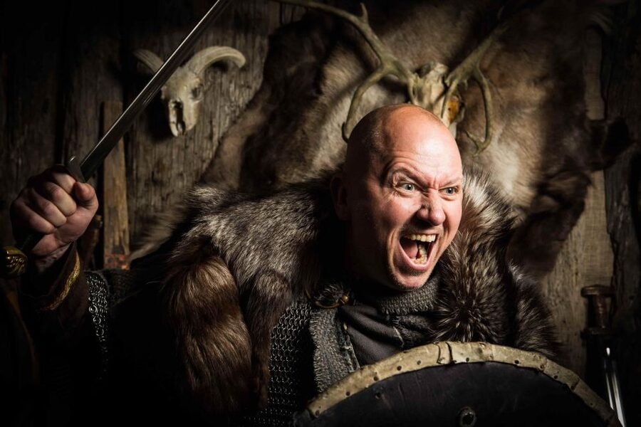 Reykjavik: Private Icelandic Viking Age Walking Tour - Walking through the city center and Norse mythology