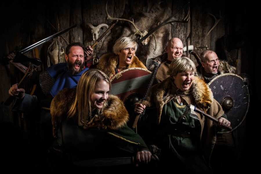 Reykjavik: Private Icelandic Viking Age Walking Tour - A private tour for questions, families, and history fans