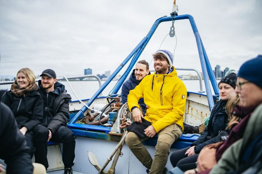 Reykjavik: Puffin Watching Boat Tour - What the one-hour format gets right