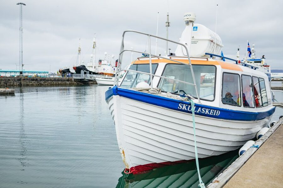 Reykjavik: Puffin Watching Boat Tour - Comfort, weather, and accessibility