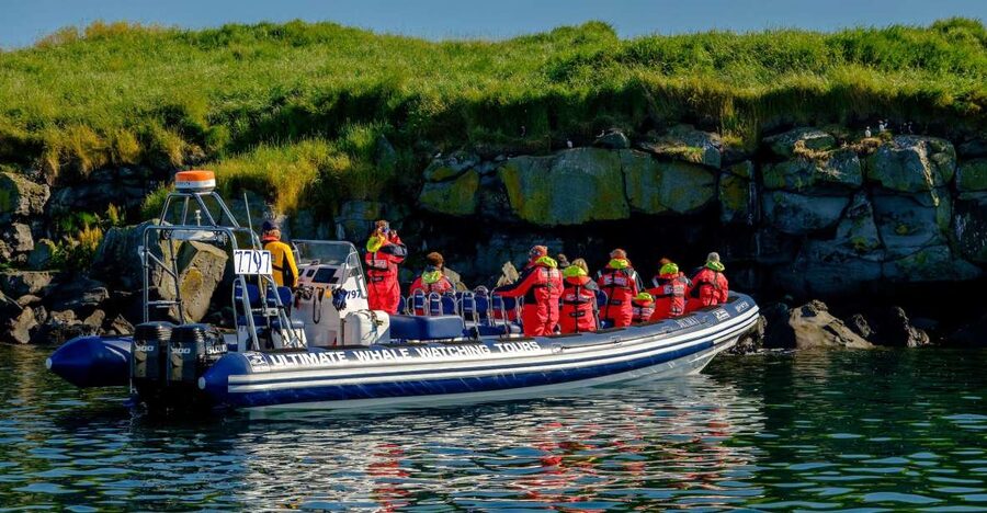 Reykjavik: Puffin Watching Tour - A short boat ride to Reykjavik’s puffin islands