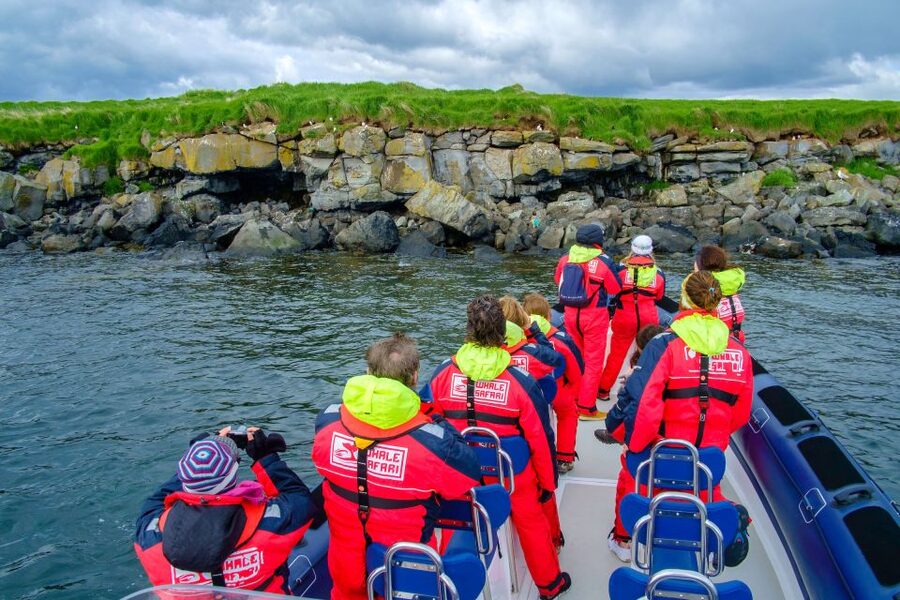 Reykjavik: Puffin Watching Tour - What the one-hour itinerary feels like