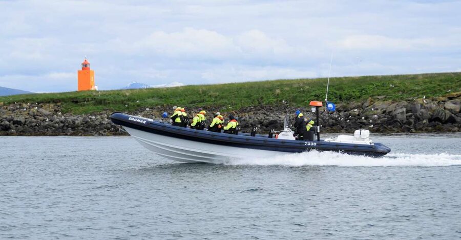 Reykjavik: Puffin Watching Tour by RIB Speedboat - Key points at a glance