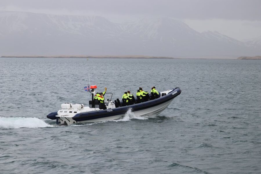 Reykjavik: Puffin Watching Tour by RIB Speedboat - Weather decides the final word