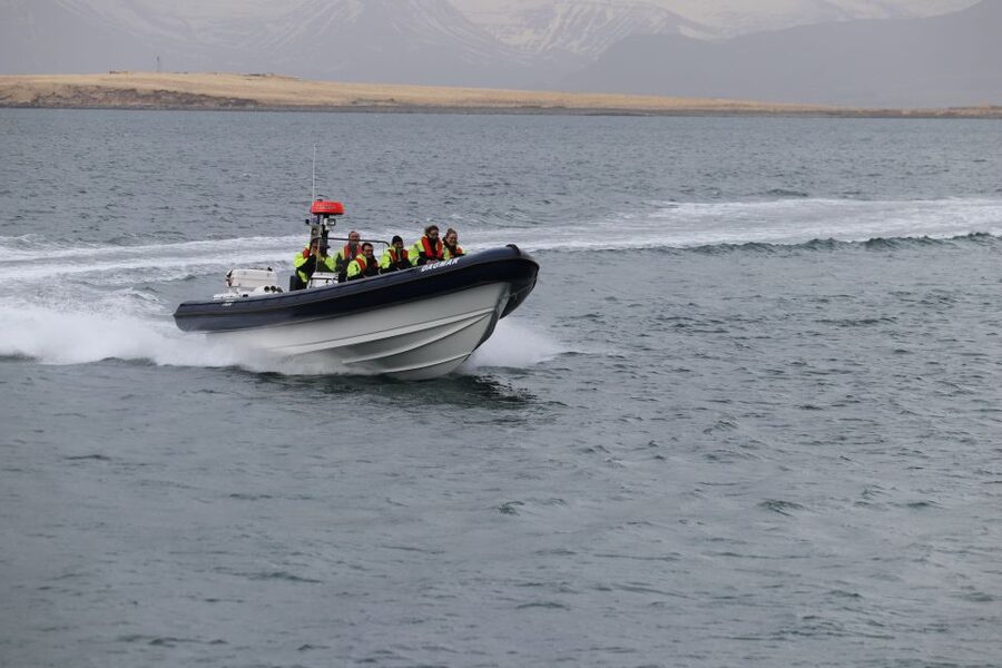 Reykjavik: Puffin Watching Tour by RIB Speedboat - Is $84 a fair price?
