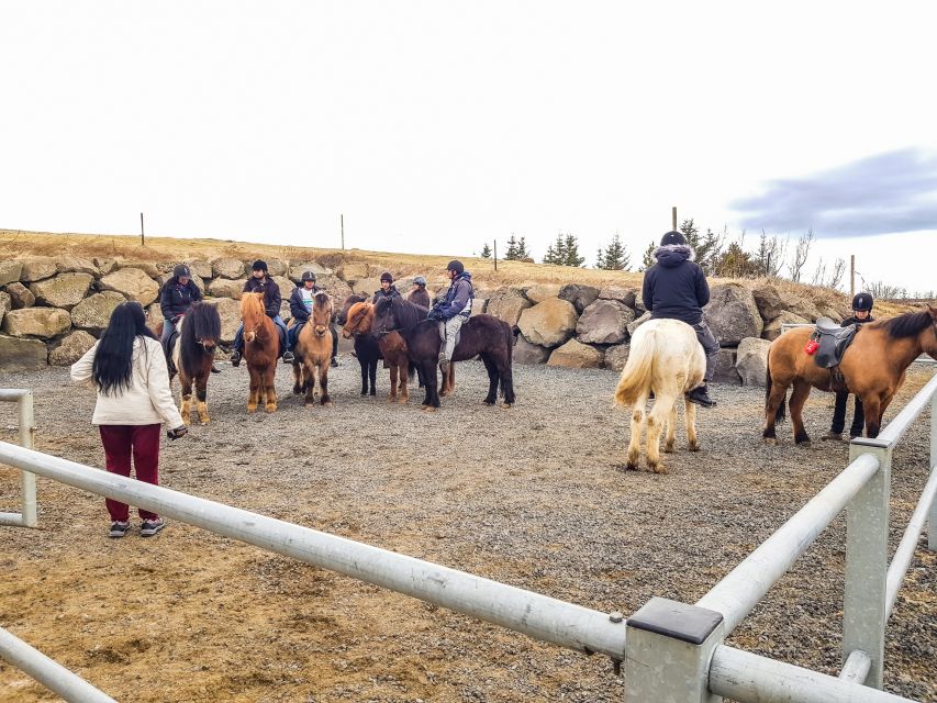 Reykjavik: Red Lava Horse Riding Tour - Guides, safety, and care for the horses