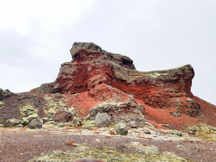 Reykjavik: Red Lava Horse Riding Tour - Getting from Reykjavik to the stable