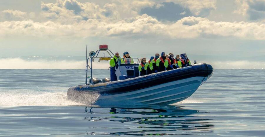 Reykjavík: RIB Speed-Boat Puffin Watching Tour - The guide and the conservation message