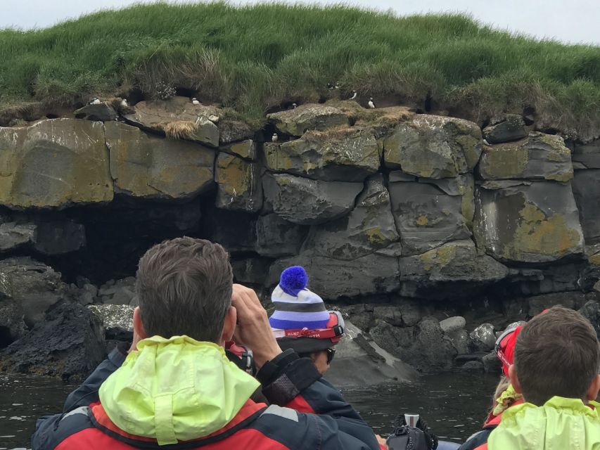 Reykjavík: RIB Speed-Boat Puffin Watching Tour - Photos, weather, and realistic expectations