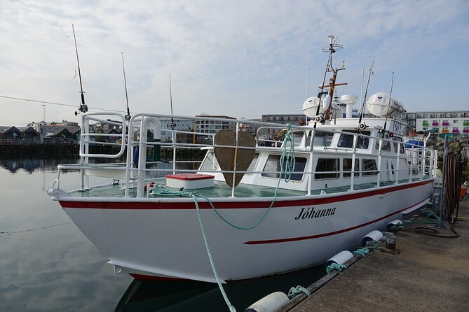 Reykjavik's Finest Catch: Guided Sea Angling Tour for All Levels - Weather, seas, and seasonal planning