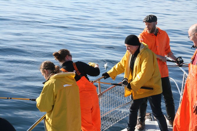 Reykjavik Sea Angling Gourmet - Weather, wind, and motion sickness