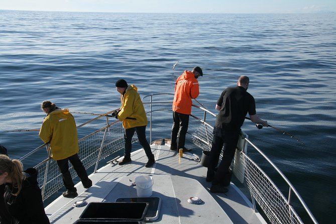 Reykjavik Sea Angling Gourmet - Is $160 a fair price?