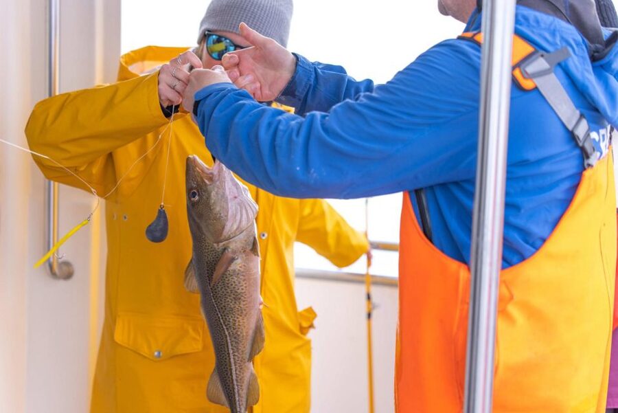 Reykjavik: Sea Fishing Boat Tour & BBQ with the Day's Catch - Key points before you book